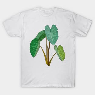 Kalo (Taro) Plant T-Shirt